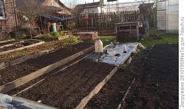 Грядки готовы