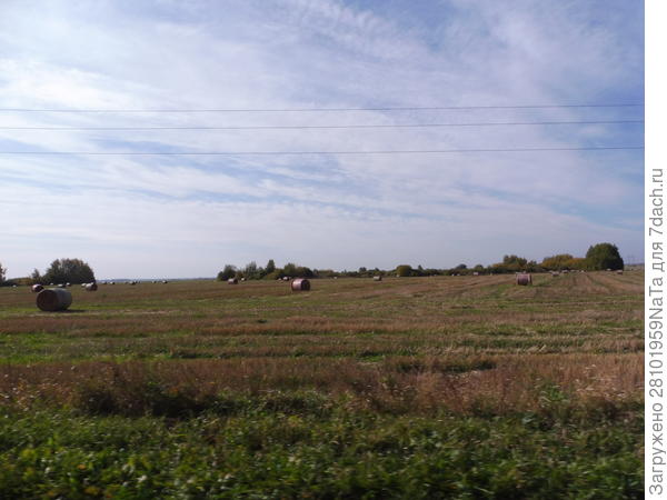 Поле осенью