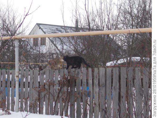 На свидании ( наверное любовь)