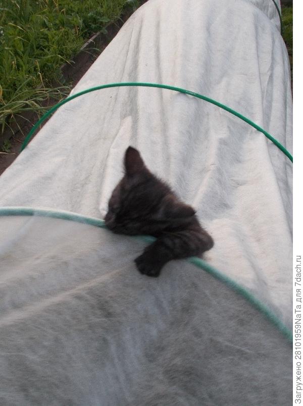 Маленький был все грыз подряд и портил все