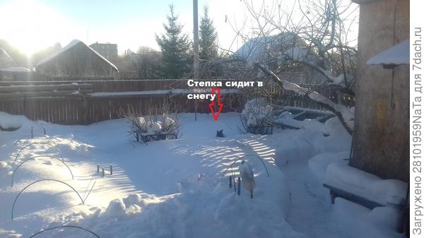 Степан -у него это зимний туалет был здесь