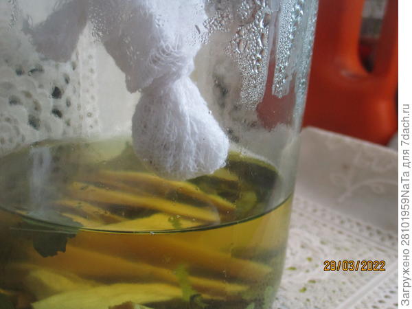 Подвешиваю семена в банке с хреном