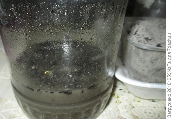 Настоять золу 2 суток