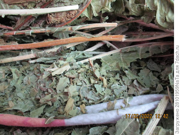 сушеные листья хрена