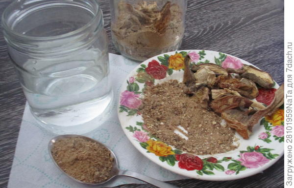 Сушеные грибы для замачивания семян