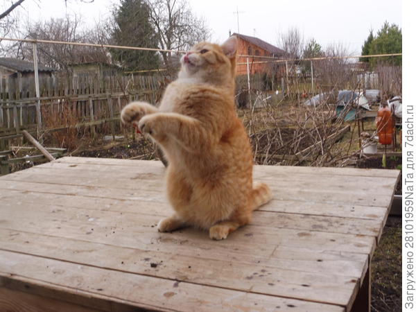 что там наверху?