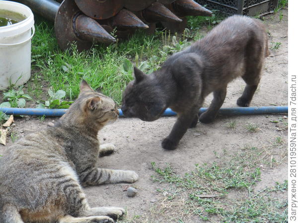 Давай поцелуемся