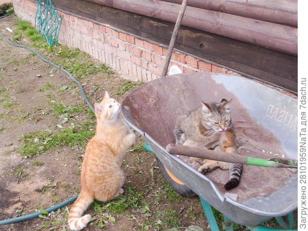 Поедем красотка кататься-