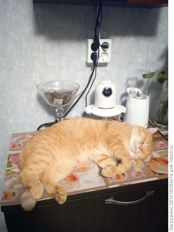 Кузя охраняет призы