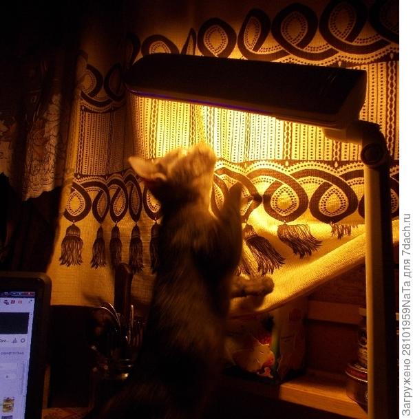 Степка маленький-все ему интересно было