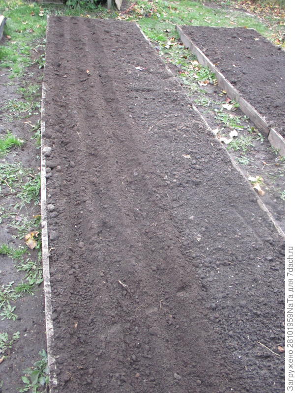 делам заранее борозды