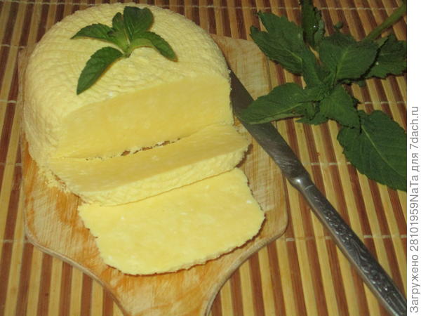 Домашний сыр (типа сулугуни или адыгейского) - пластиковыеокнавтольятти.рф