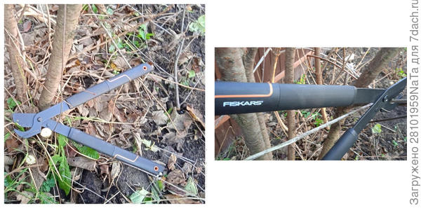 Обрезаем большим секатором