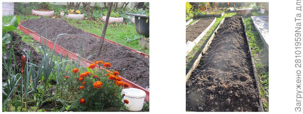 перекапываем грядки