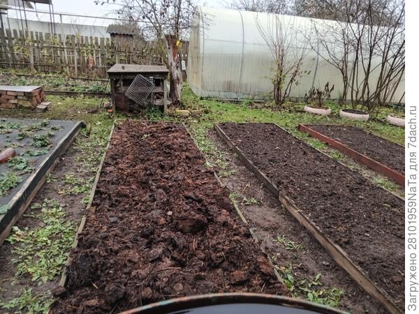 грядки перекопаны вместе с навозом
