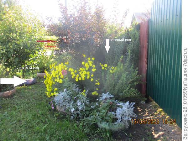 это за забором