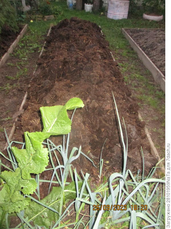 кладем перепревший навоз на грядку для хранения