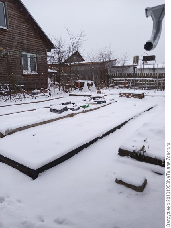 снег укрывает все