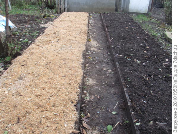 новые грядки сделанные осенью