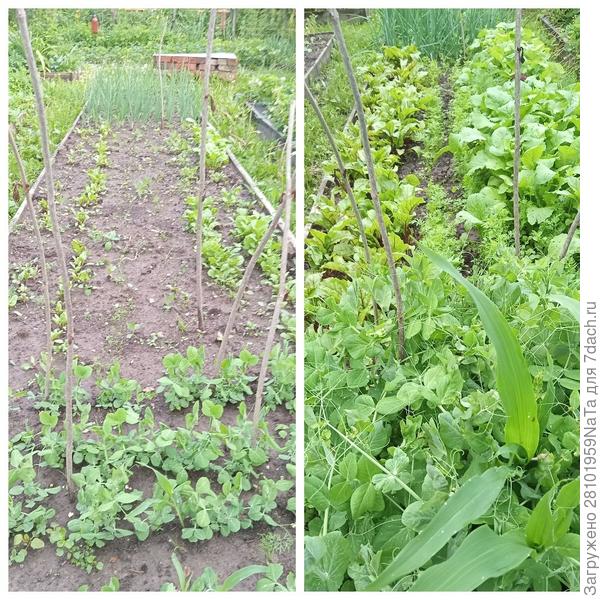 Совмещенные посадки