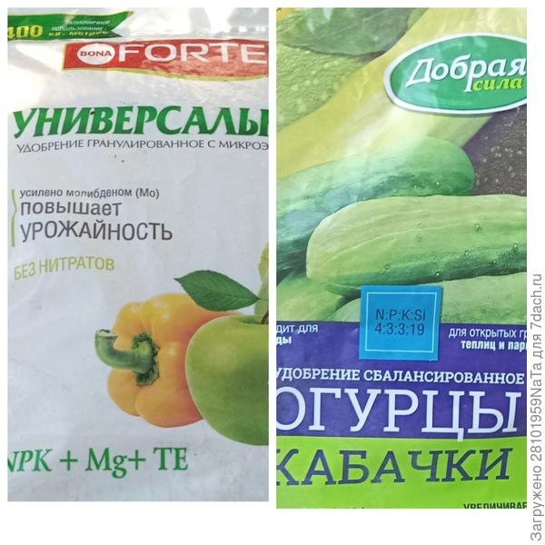 Удобрения для огурцов