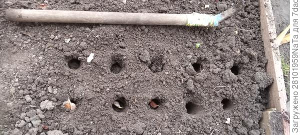 делает ямки