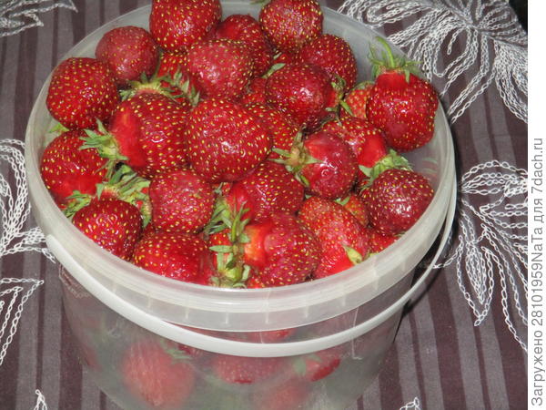 черный принц