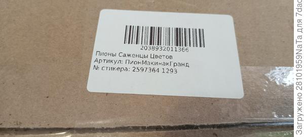 пришли пионы