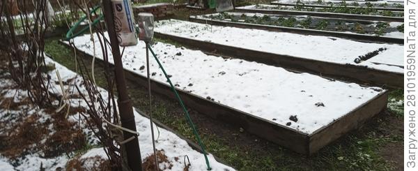 снежок выпал