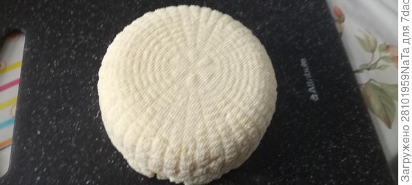 Домашний сыр