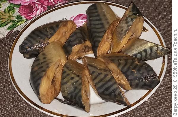 скумбрия