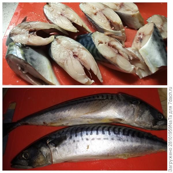 разделываем скумбрию