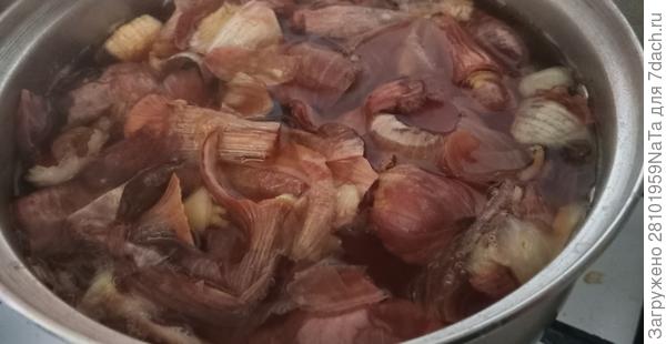 кладем луковую шелуху в воду