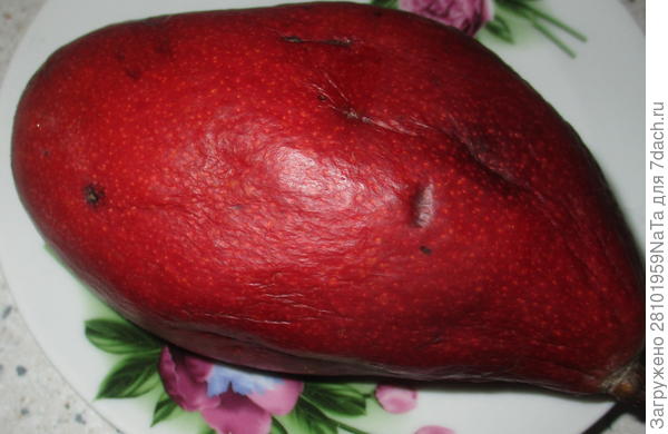 манго