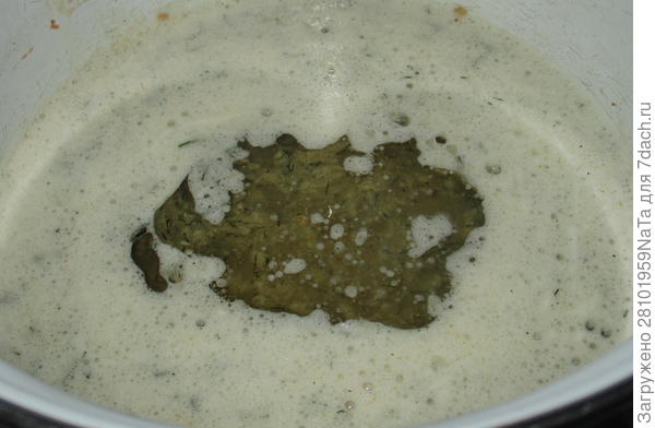 добавила