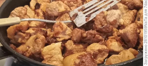 мясо жареное