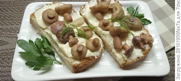 бутерброды с маслятами