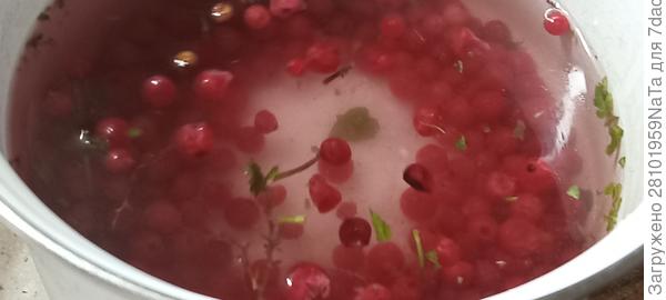 кладем смородину в воду