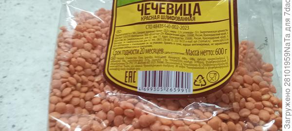 чечевица