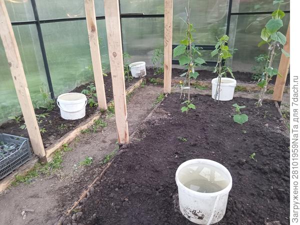 ведра с водой