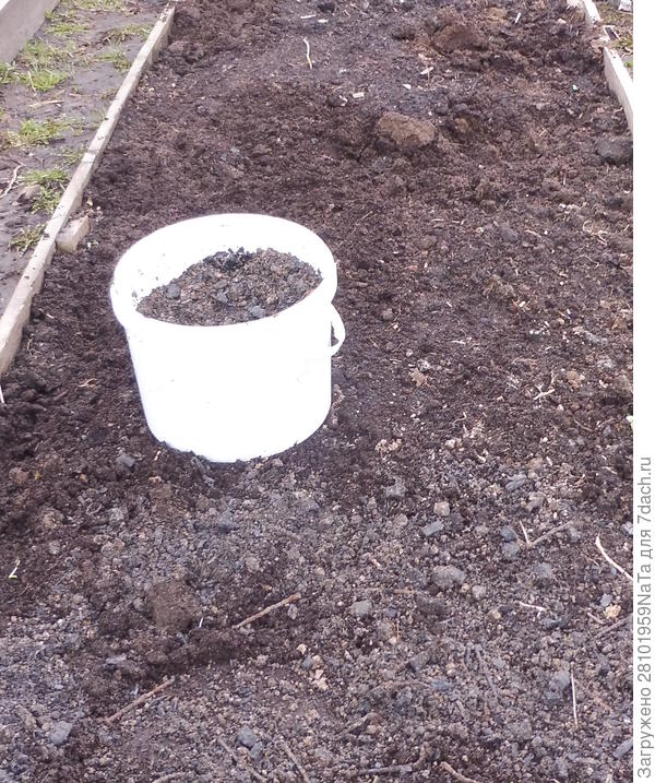 добавляем золу и перегной