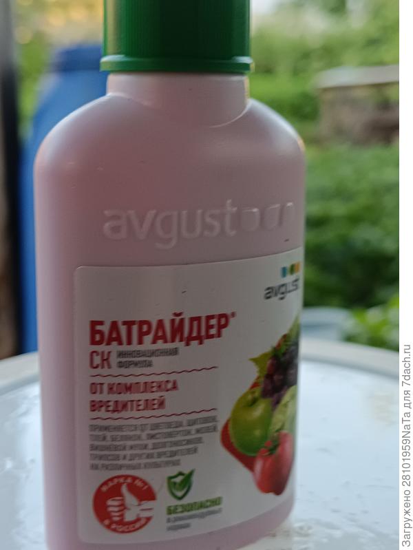 от вредителей