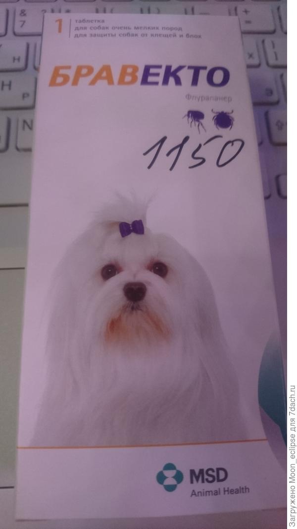 сегодня своему скормила