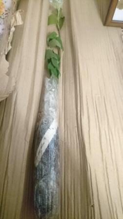 немного подвял(