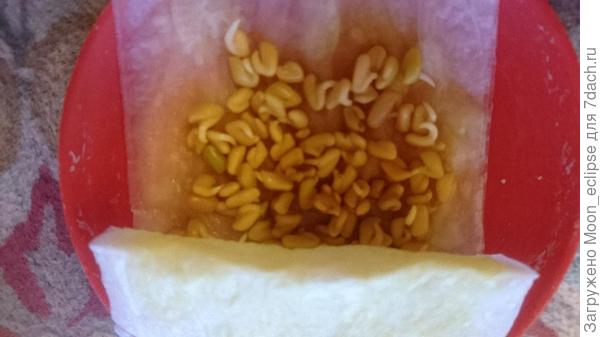 придется высаживать))