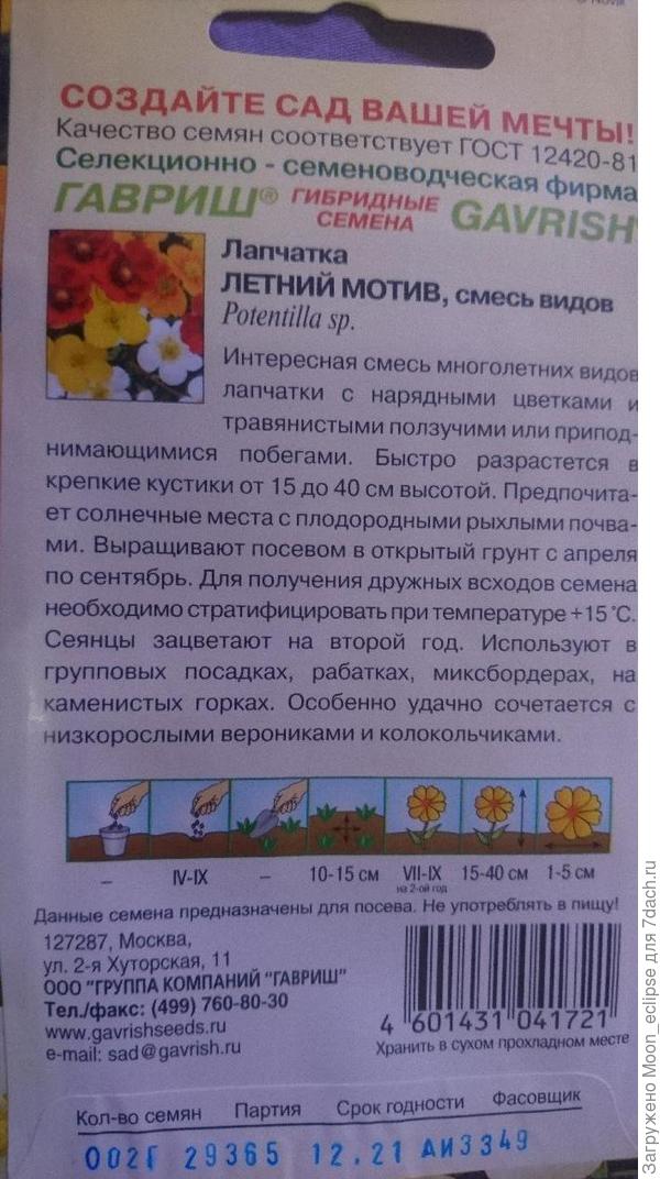 пока вырастут...с местом и определюсь)