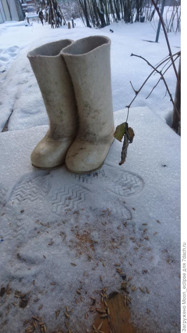 В выходные на даче валенки выгуливала!))