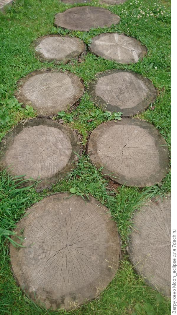 На газоне такая тропинка