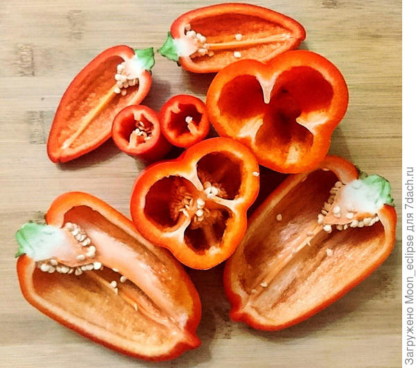 разрез