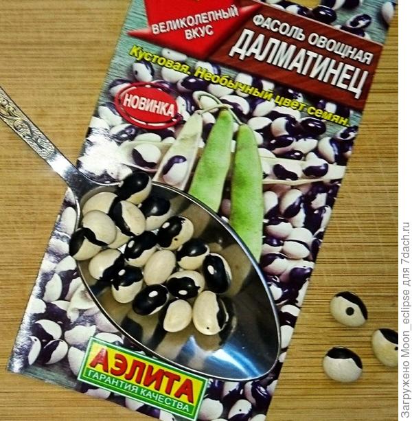 фасоль далматинец